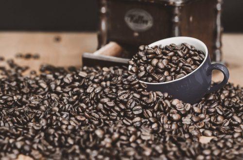 Фото: @vens_kolev