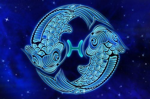 star sign, fishes, horoscope