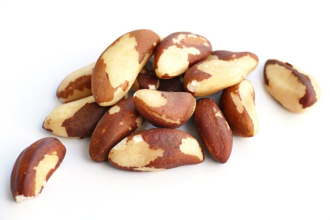 brazil nuts brazil nut kernels nuts 6582873