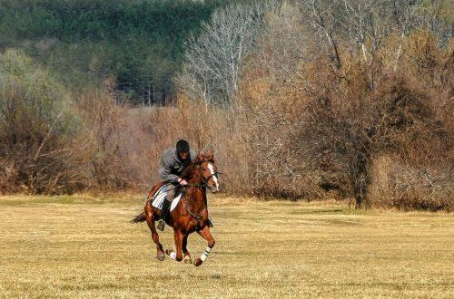Тодоров ден